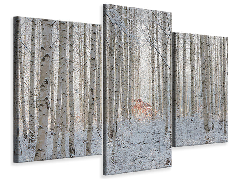 modern-3-piece-canvas-print-white