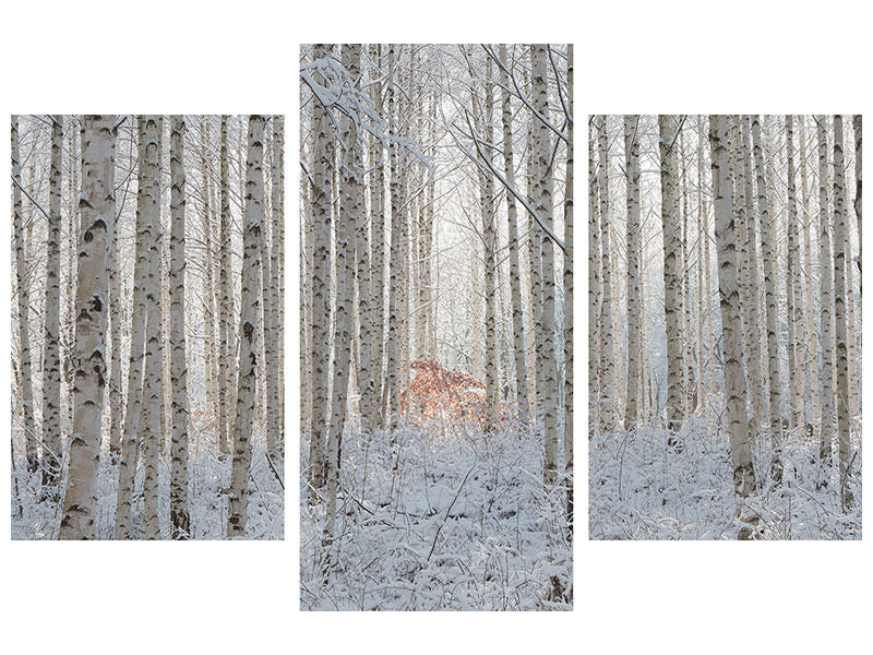 modern-3-piece-canvas-print-white