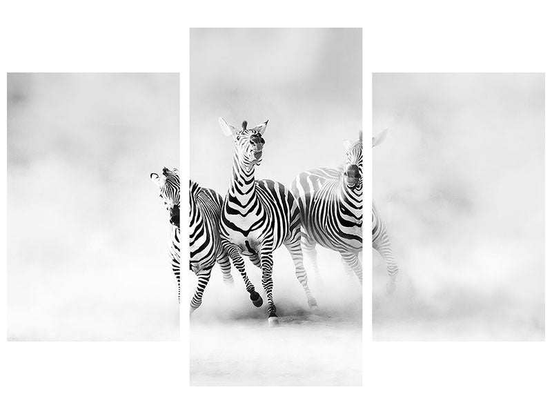 modern-3-piece-canvas-print-zebras