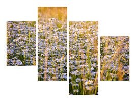 modern-4-piece-canvas-print-a-field-full-of-camomile