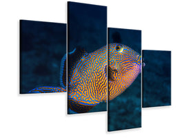 modern-4-piece-canvas-print-blue-triggerfish