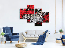 modern-4-piece-canvas-print-butterfly-in-xxl