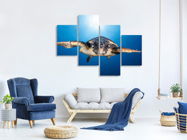 modern-4-piece-canvas-print-face-to-face-with-a-hawksbill-sea-turtle