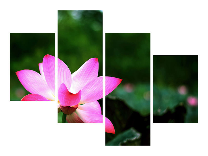 modern-4-piece-canvas-print-lotus-in-nature