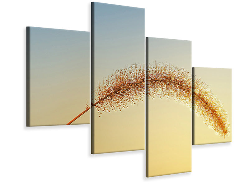 modern-4-piece-canvas-print-ornamental-grass-in-xxl