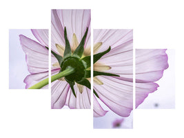 modern-4-piece-canvas-print-the-cosmos-flower