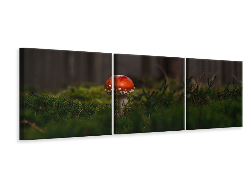panoramic-3-piece-canvas-print-a-mushroom-in-the-forest
