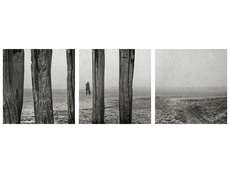panoramic-3-piece-canvas-print-astray
