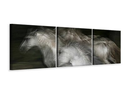 panoramic-3-piece-canvas-print-into-the-dark