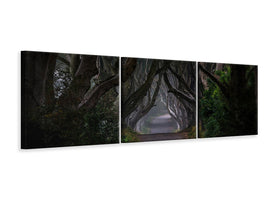 panoramic-3-piece-canvas-print-magic-road