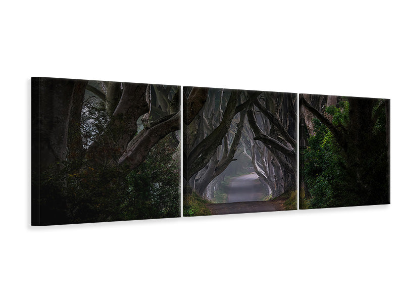 panoramic-3-piece-canvas-print-magic-road