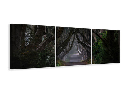 panoramic-3-piece-canvas-print-magic-road