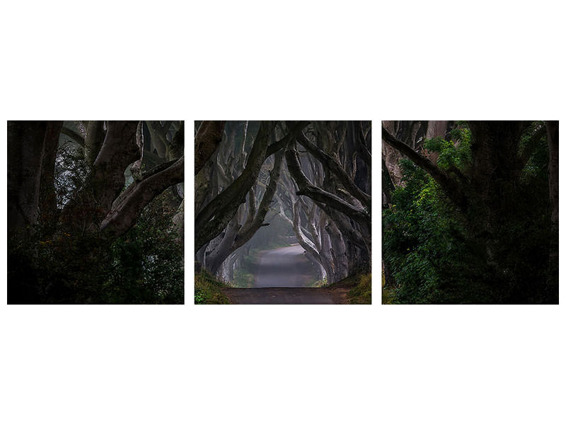 panoramic-3-piece-canvas-print-magic-road