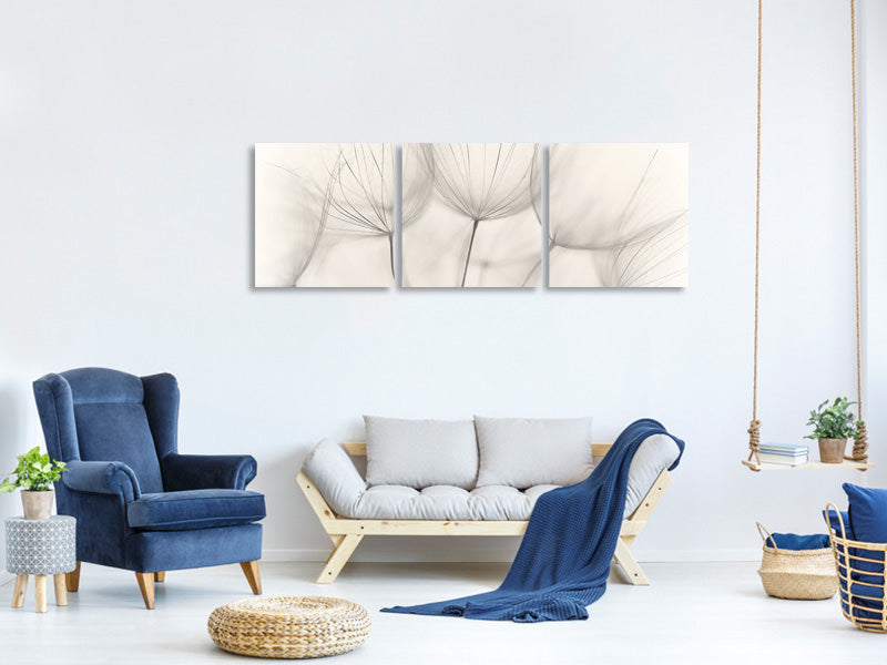 panoramic-3-piece-canvas-print-no-title