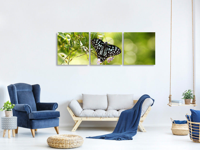 panoramic-3-piece-canvas-print-papilio-butterfly-xxl