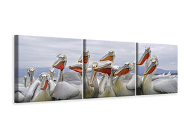 panoramic-3-piece-canvas-print-pay-attention