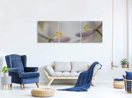 panoramic-3-piece-canvas-print-soft-whispering
