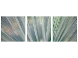 panoramic-3-piece-canvas-print-strip-of-plant