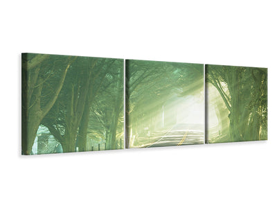 panoramic-3-piece-canvas-print-the-avenue