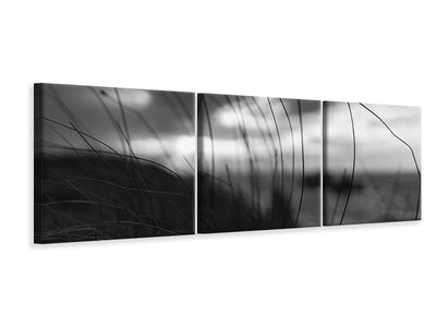 panoramic-3-piece-canvas-print-the-wind-brings-the-night