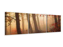 panoramic-3-piece-canvas-print-towards-the-light