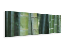 panoramic-canvas-print-bamboo-in-xxl