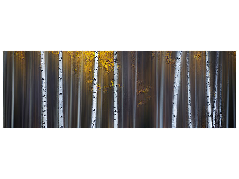 panoramic-canvas-print-curtain-of-fall