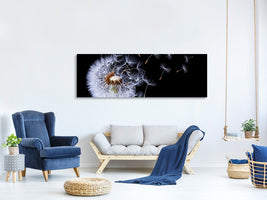 panoramic-canvas-print-dandelion-blowing