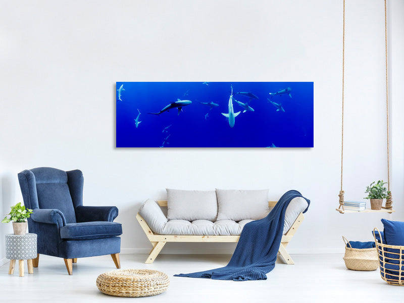 panoramic-canvas-print-in-the-shark-tank