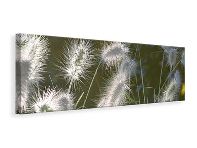 panoramic-canvas-print-ornamental-grasses-in-xl