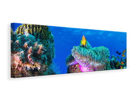 panoramic-canvas-print-sea-life