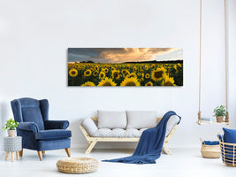 panoramic-canvas-print-sunflowers-in-sweden